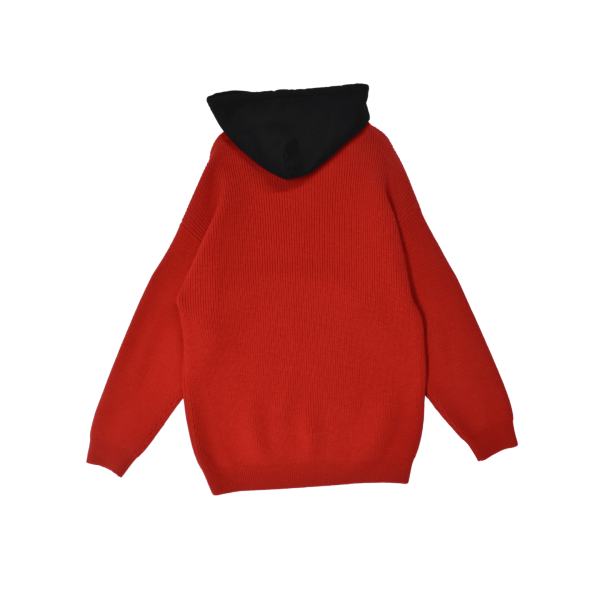 Balenciaga Sweater - Men s M Online