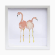 Anne Neilson Flamingo Framed Print For Sale