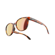 Rheos Wyecreeks Sunglasses - Tortoise Rose Supply