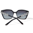 Brighton Contempo Linx Sunglasses Supply