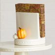 Nora Fleming Pumpkin Spice Mini For Discount