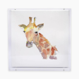 Giraffe Acrylic Shadow Box Print For Cheap