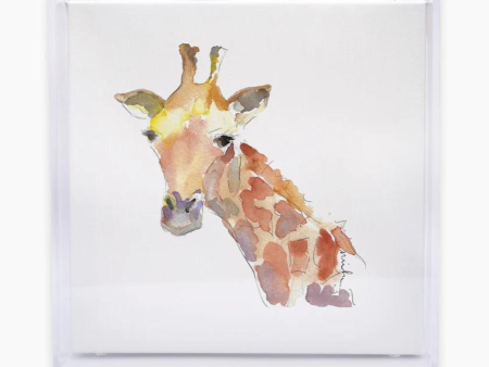 Giraffe Acrylic Shadow Box Print For Cheap