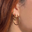 Ellie Vail Laurette Medium Hoop Earrings - Gold Online now