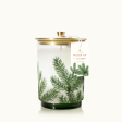 Thymes Frasier Fir Heritage Medium Pine Needle Luminary For Sale