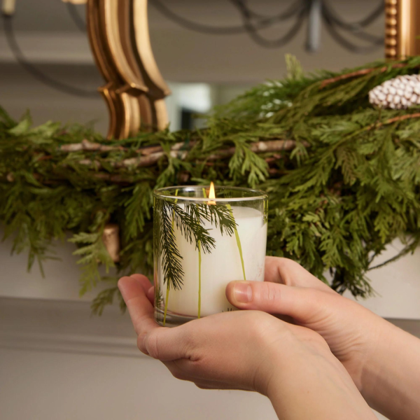 Thymes Frasier Fir Pine Needle Candle For Cheap