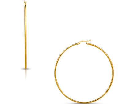 Ellie Vail Laurette Medium Hoop Earrings - Gold Online now