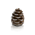 Nora Fleming Pretty Pinecone Mini Online now