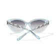 Brighton Twinkle Chain Sunglasses on Sale