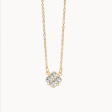 Spartina Sea La Vie Blessed Crystal Clover Necklace Hot on Sale