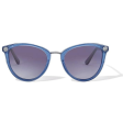 Brighton Elora Sunglasses on Sale