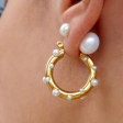 Ellie Vail Nicoletta Pearl Hoop Earrings - Gold Hot on Sale