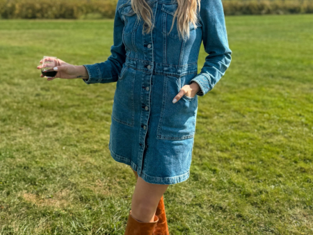 Faherty Michelle Denim Dress - Sea Bright Wash For Discount