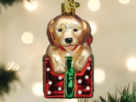 Old world Christmas Golden Puppy Surprise Ornament Hot on Sale